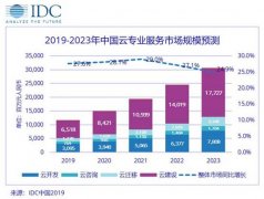 IDC：助力转型、深入变革：中国云专业服务市场